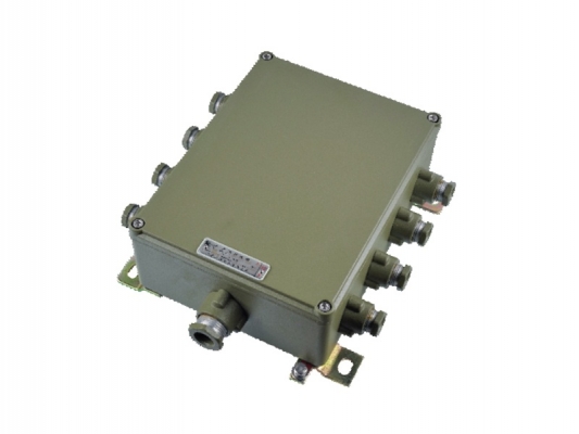 High Quality Explosion-Proof Distribution Box - eJX series Explosion proof connection box – Feice detail pictures